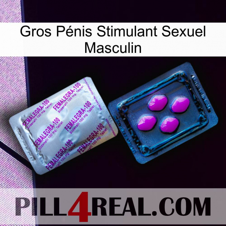 Gros Pénis Stimulant Sexuel Masculin 37